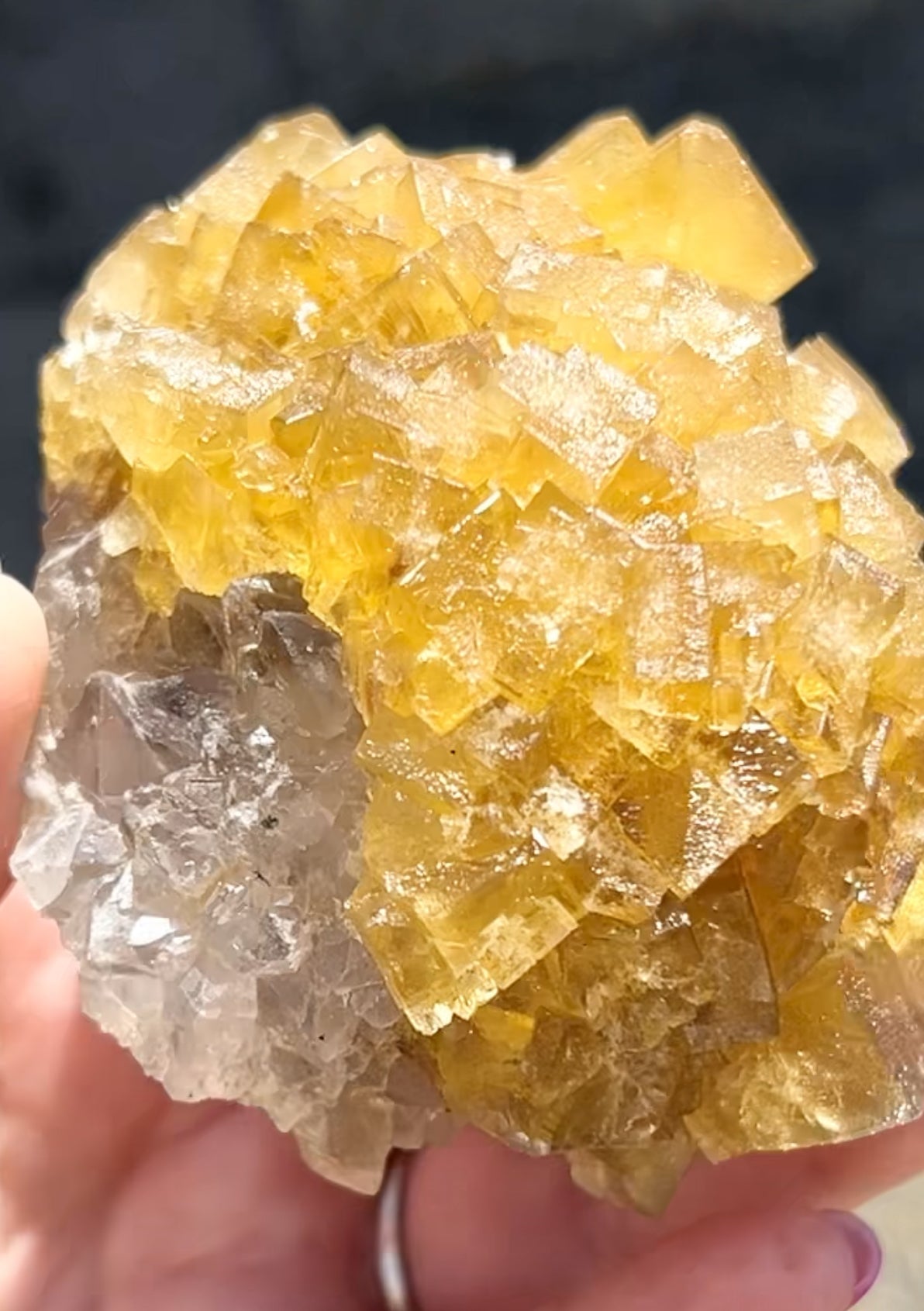 XXL Extremely Rare, One Of A Kind Hilton Golden Yellow Fluorite On Quartz Base From Hilton Mine, Hilton, Scredale, Cumbria, U.K. 🇬🇧 (Closed Mine, Independently Collected In 1990s) Top Quality