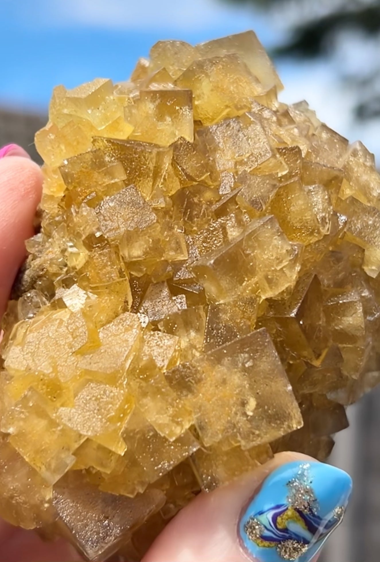 XXL Extremely Rare, One Of A Kind Hilton Golden Yellow Fluorite On Quartz Base From Hilton Mine, Hilton, Scredale, Cumbria, U.K. 🇬🇧 (Closed Mine, Independently Collected In 1990s) Top Quality