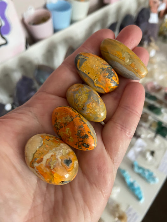 Rare Orbicular Bumblebee Jasper Tumbles From Mount Papandayan, West Java, Indonesia 🇮🇩