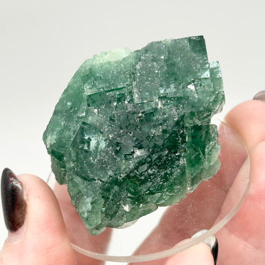 #1 Raw Northern Lights Fluorite Medium Specimen From River Catcher Vein, Diana Maria Mine, U.K. 🇬🇧