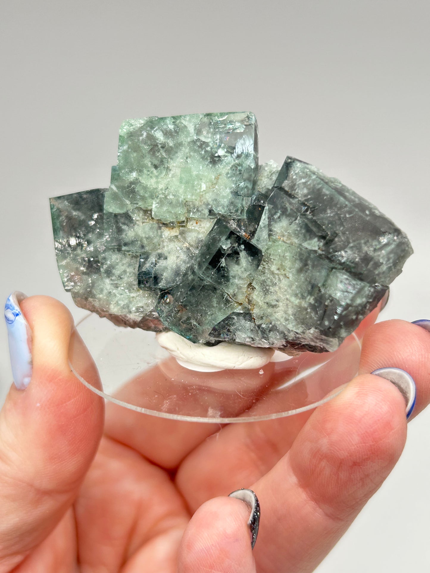 #1 Truffle 🐷 Pig Fluorite Medium Specimen Sutcliffe Vein, Diana Maria Mine, Weardale, U.K. 🇬🇧