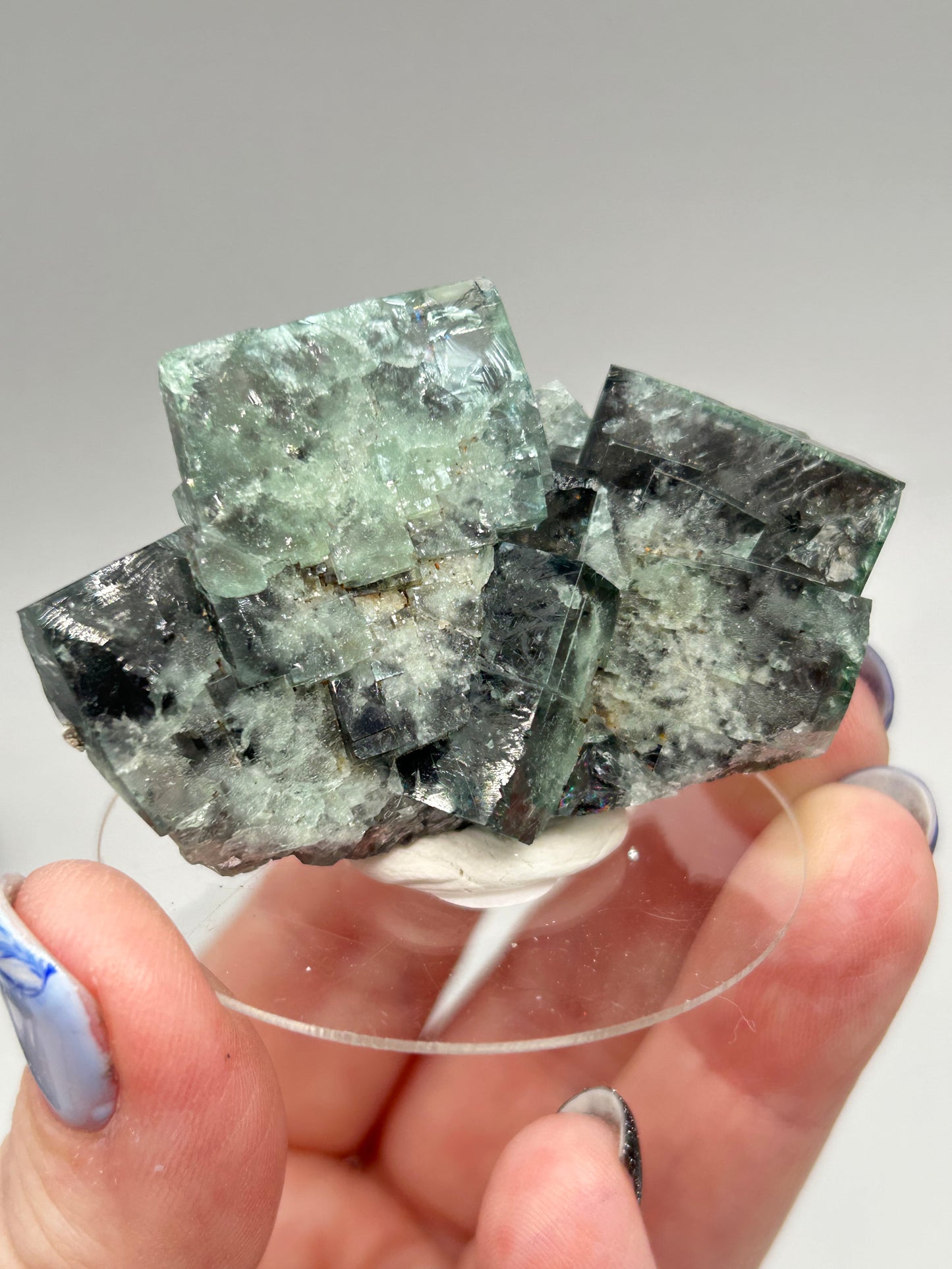 #1 Truffle 🐷 Pig Fluorite Medium Specimen Sutcliffe Vein, Diana Maria Mine, Weardale, U.K. 🇬🇧