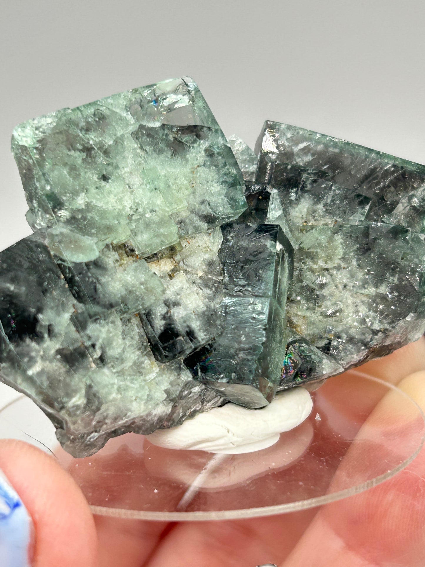 #1 Truffle 🐷 Pig Fluorite Medium Specimen Sutcliffe Vein, Diana Maria Mine, Weardale, U.K. 🇬🇧