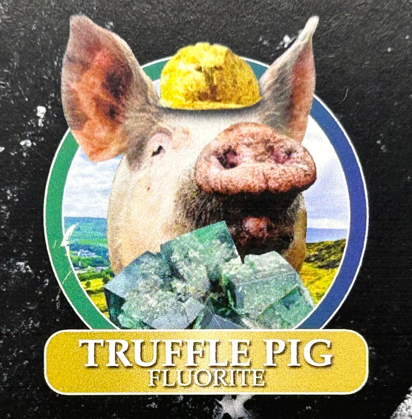 #6 Truffle 🐷 Pig Fluorite Medium Specimen Sutcliffe Vein, Diana Maria Mine, Weardale, U.K. 🇬🇧