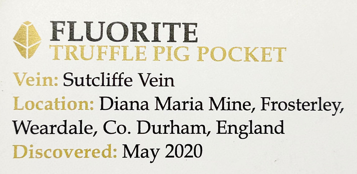 #6 Truffle 🐷 Pig Fluorite Medium Specimen Sutcliffe Vein, Diana Maria Mine, Weardale, U.K. 🇬🇧