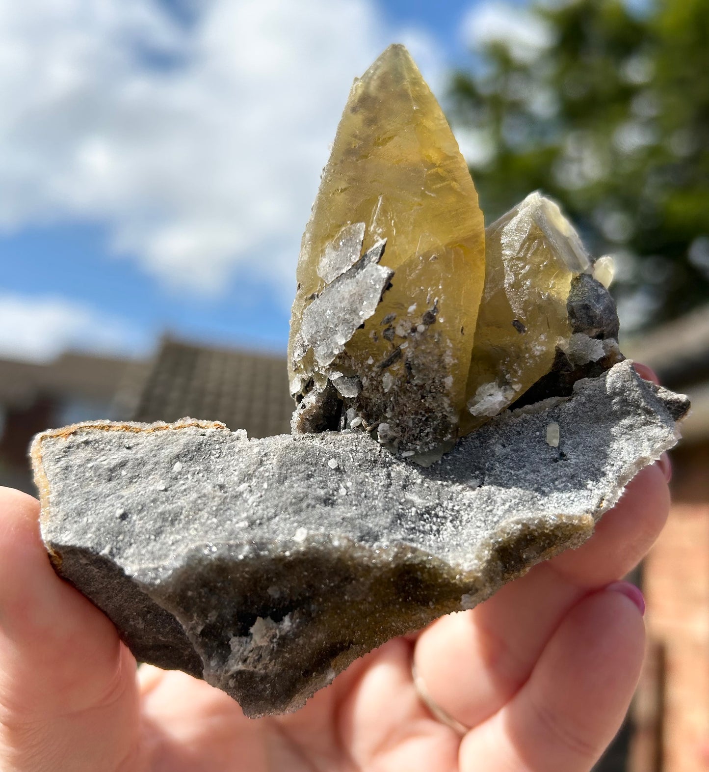 Collectors #9 Sweetwater Double Yellow Calcite On Marcasite & Limonite Large From Sweetwater Mine, Reynolds County, Missouri, USA 🇺🇸