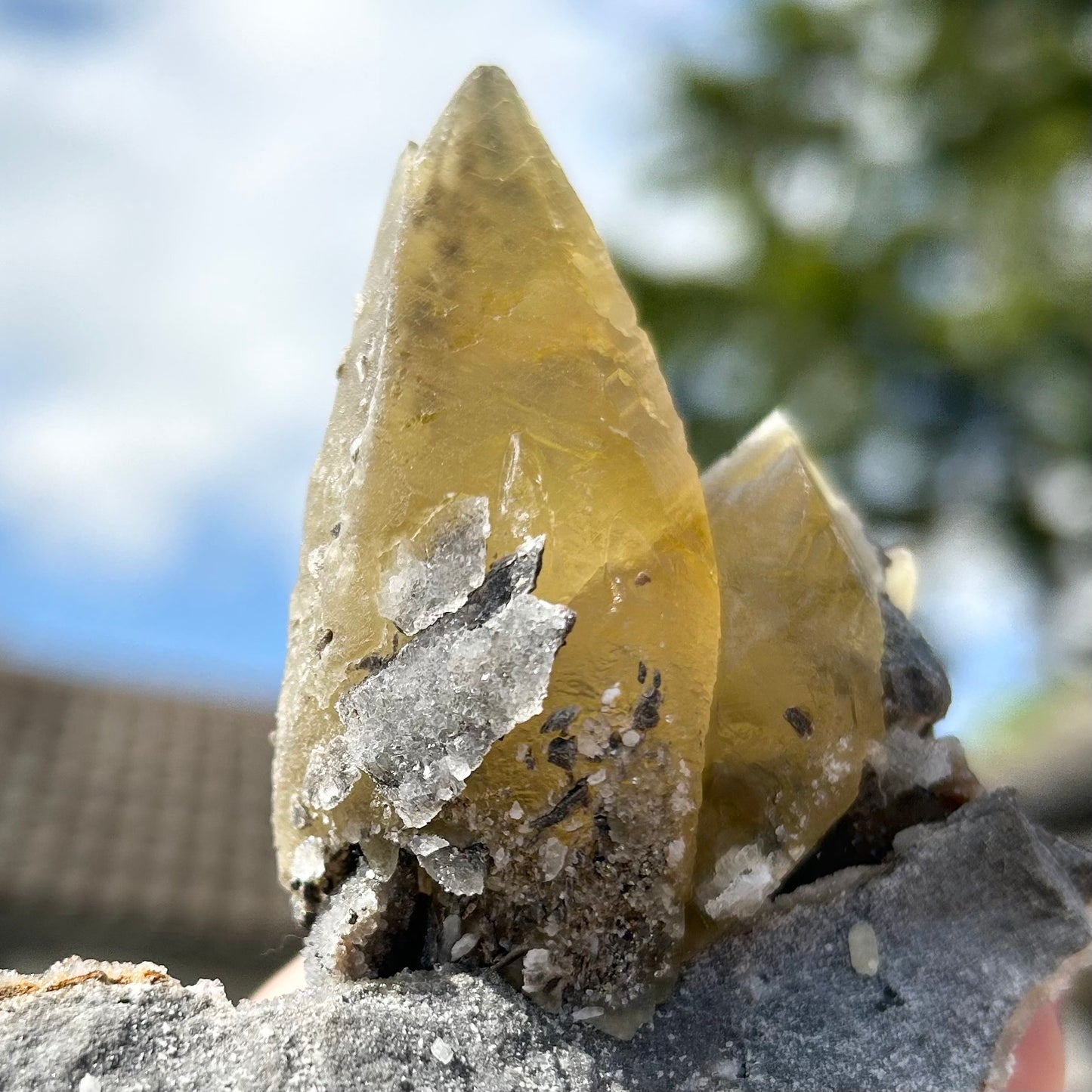 Collectors #9 Sweetwater Double Yellow Calcite On Marcasite & Limonite Large From Sweetwater Mine, Reynolds County, Missouri, USA 🇺🇸