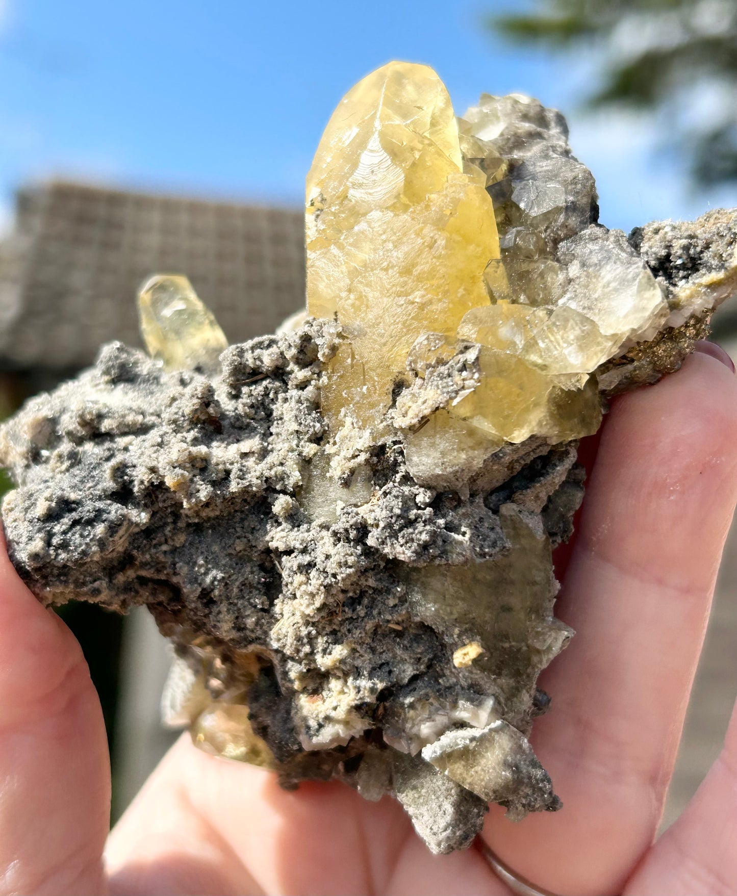 Collectors #12 Fletcher 8 Point Optical Calcite With Marcasite Base Large From Fletcher Mine, Reynolds County, Missouri, USA 🇺🇸