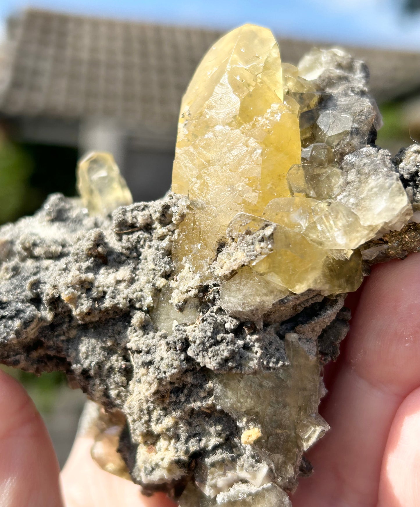 Collectors #12 Fletcher 8 Point Optical Calcite With Marcasite Base Large From Fletcher Mine, Reynolds County, Missouri, USA 🇺🇸